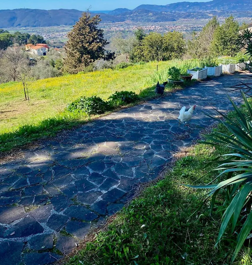 La Ginestra B&B Fosdinovo 0*,  Italie
