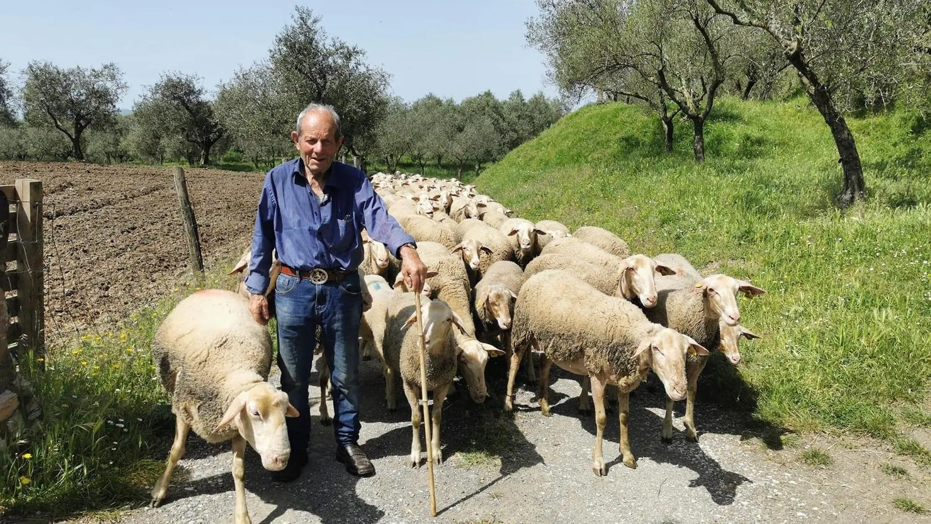 La Ginestra B&B Fosdinovo Italie