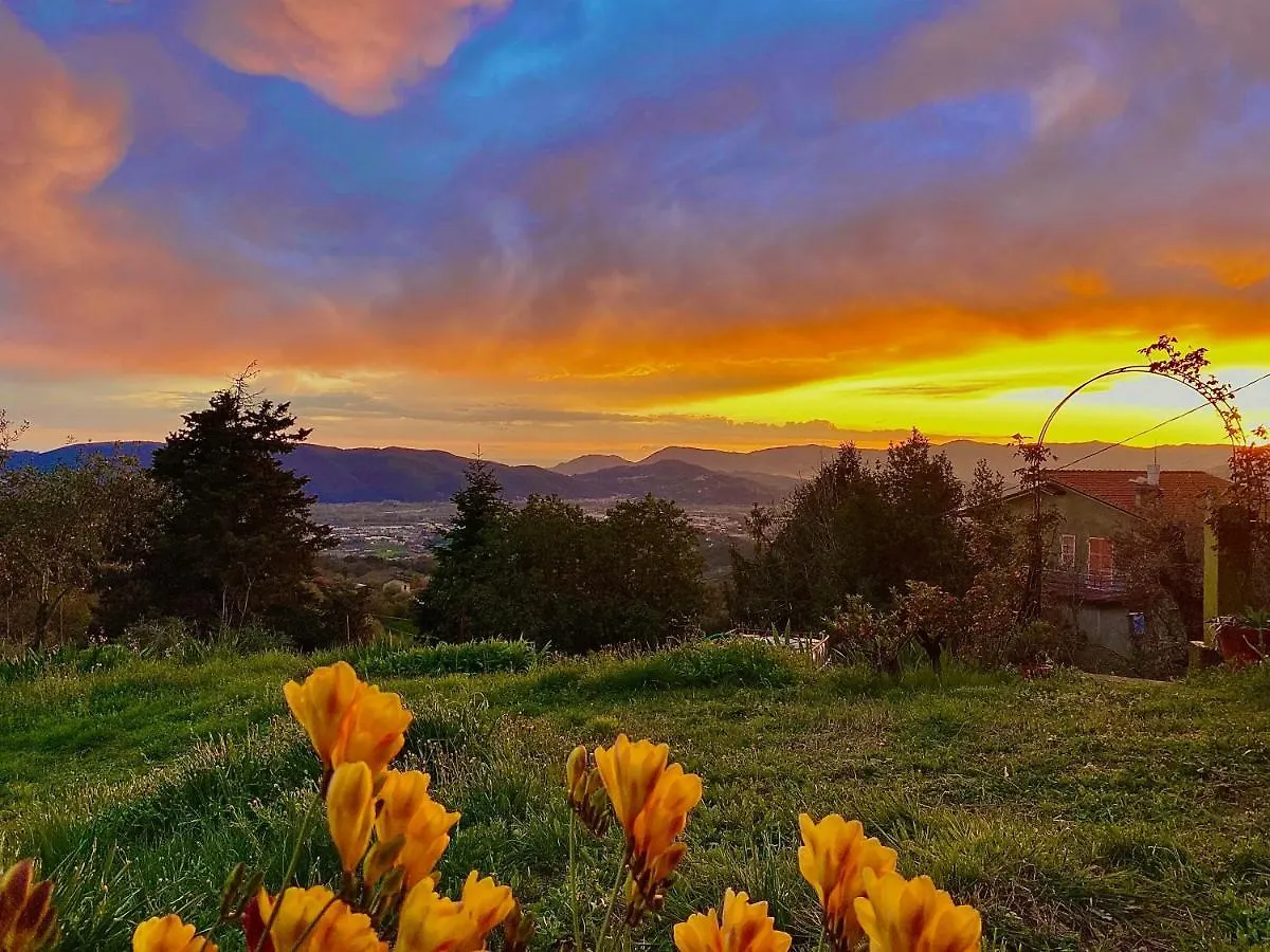 Bed and Breakfast La Ginestra B&B Fosdinovo