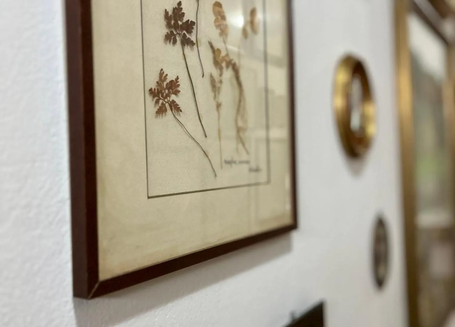 La Ginestra B&B Fosdinovo 0*,